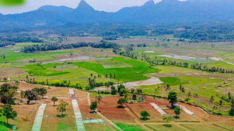 view gunung kavling sawah nuansa alam golden view