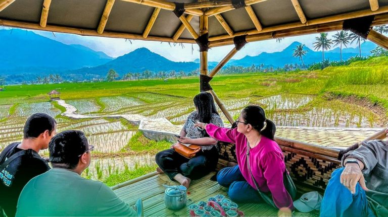 view sawah nuansa alam golden view
