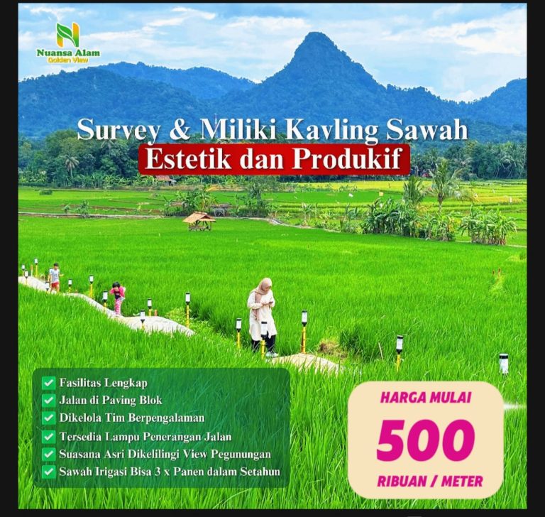 tanah kavling sawah nuansa alam golden view