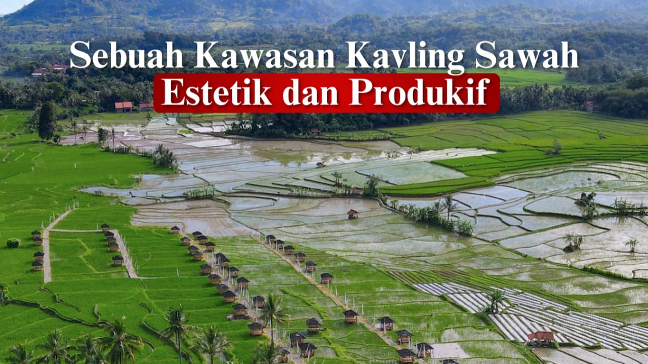 tanah kavling sawah nuansa alam golden view