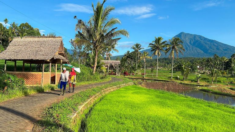 viewnya bagus tanah kavling sawah nuansa alam golden view tanah murah bogor dijual